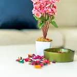 Hotel de apartamente Milenyum 3*